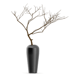 shop-bg-11 shop-bg-11