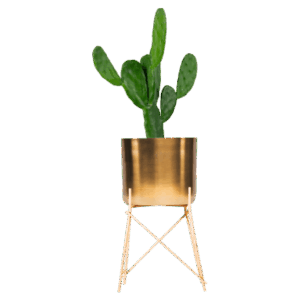 shop-bg-14 shop-bg-14