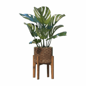 shop-bg-16 shop-bg-16